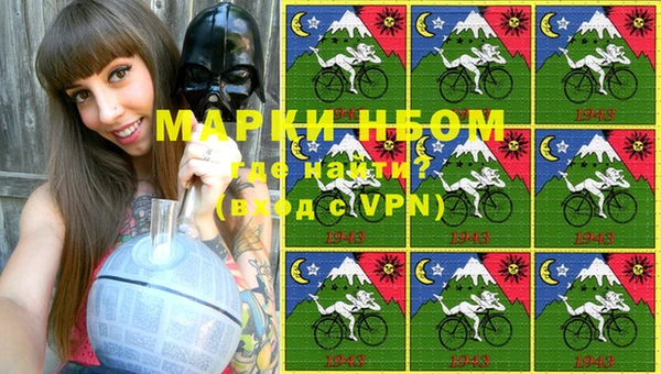 гашик Балахна