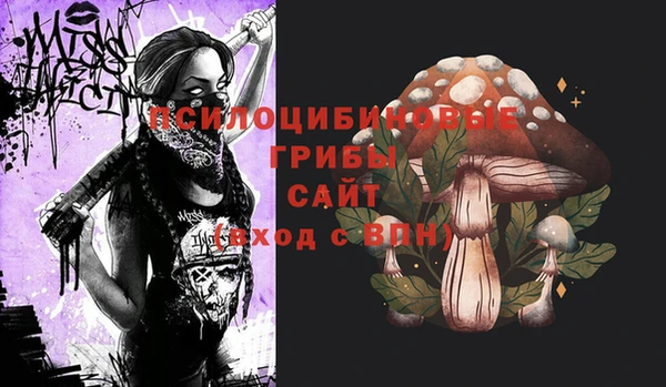 гашик Балахна