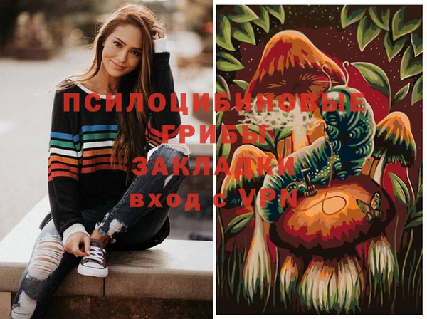 гашик Балахна