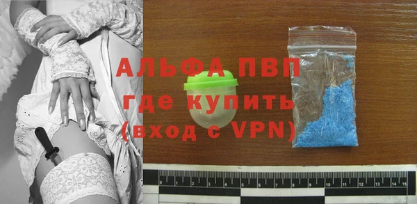гашик Балахна