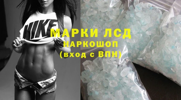гашик Балахна