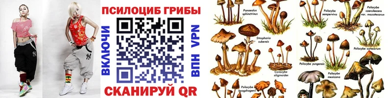 Галлюциногенные грибы Psilocybe  Гаврилов-Ям 